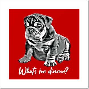 Bulldog Puppy "What's For Dinner?" Posters and Art